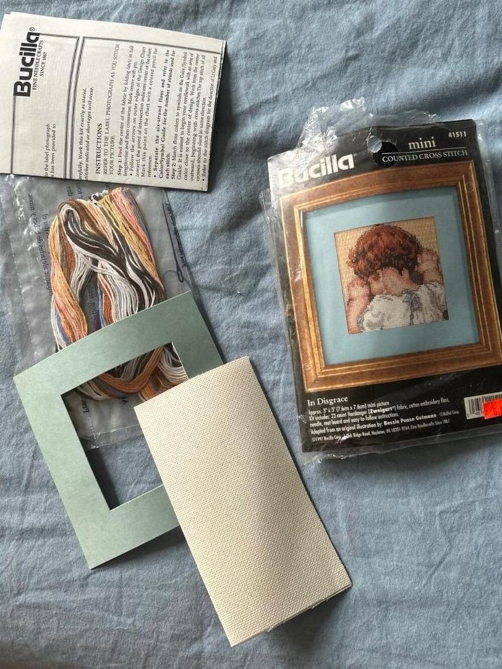 Bucilla In Disgrace mini Counted Cross Stitch